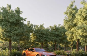 Amelia from Austria: A Perfect Road Trip in Japan with Japan Travel Assist