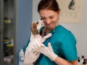 Ветеринарные офтальмологические услуги: Здоровье глаз Вашего питомца