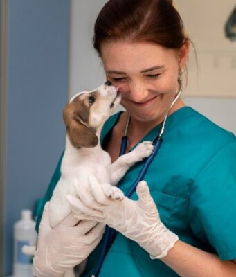 Ветеринарные офтальмологические услуги: Здоровье глаз Вашего питомца