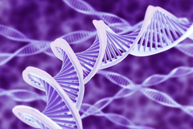 Первый мужчина в ДНК женщины навсегда: почему люди продолжают верить в телегонию