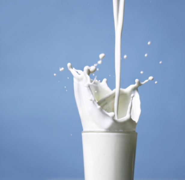 Вкусно и полезно: как правильно пить кефир, молоко и другие молочные продукты