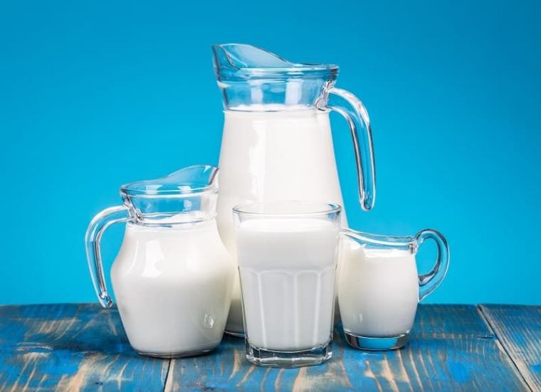 Вкусно и полезно: как правильно пить кефир, молоко и другие молочные продукты