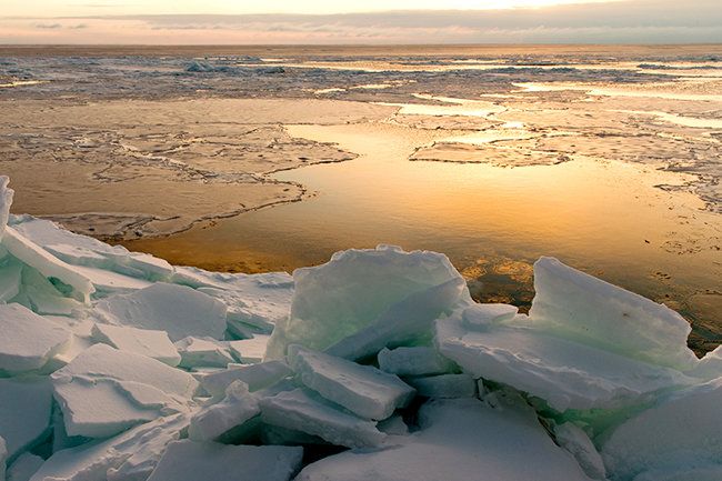 Землетрясение в Тихом океане могло спровоцировать потепление в Арктике в октябре 2020 года